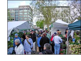 Farmers Market at Saturday Market